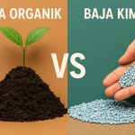 baja organik