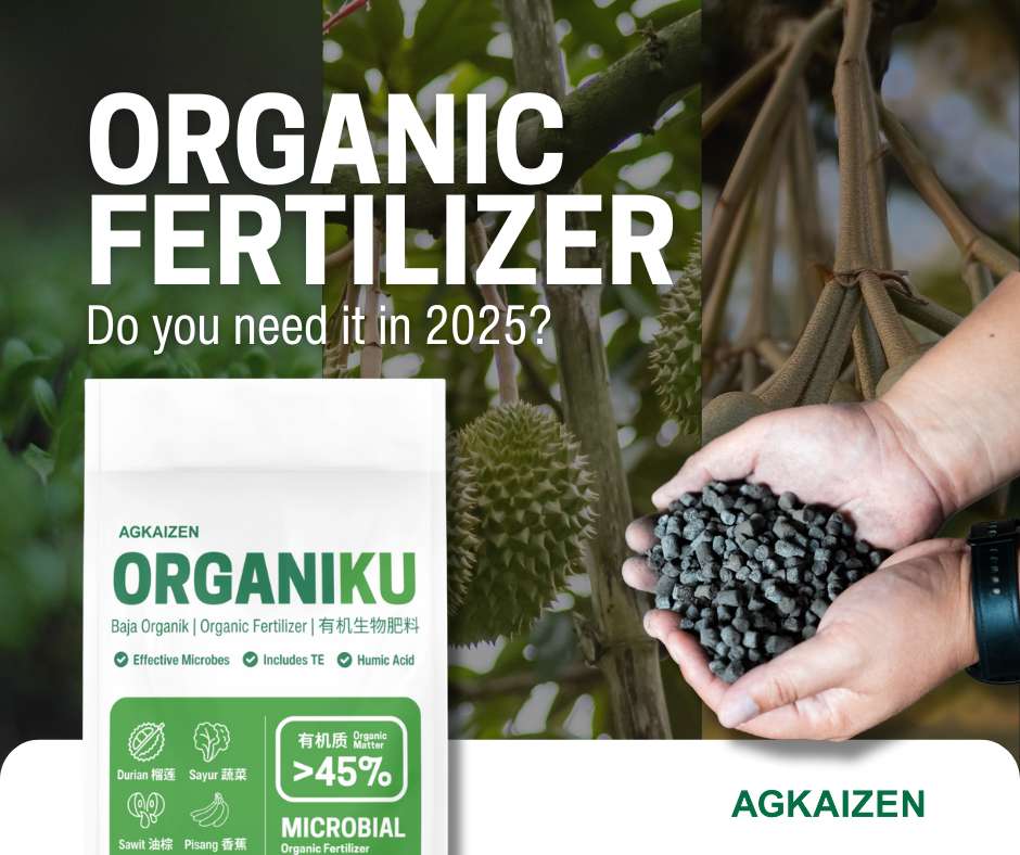 organic fertilizer